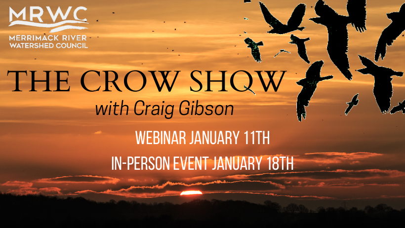 The Crow Show 2022: Webinar Edition