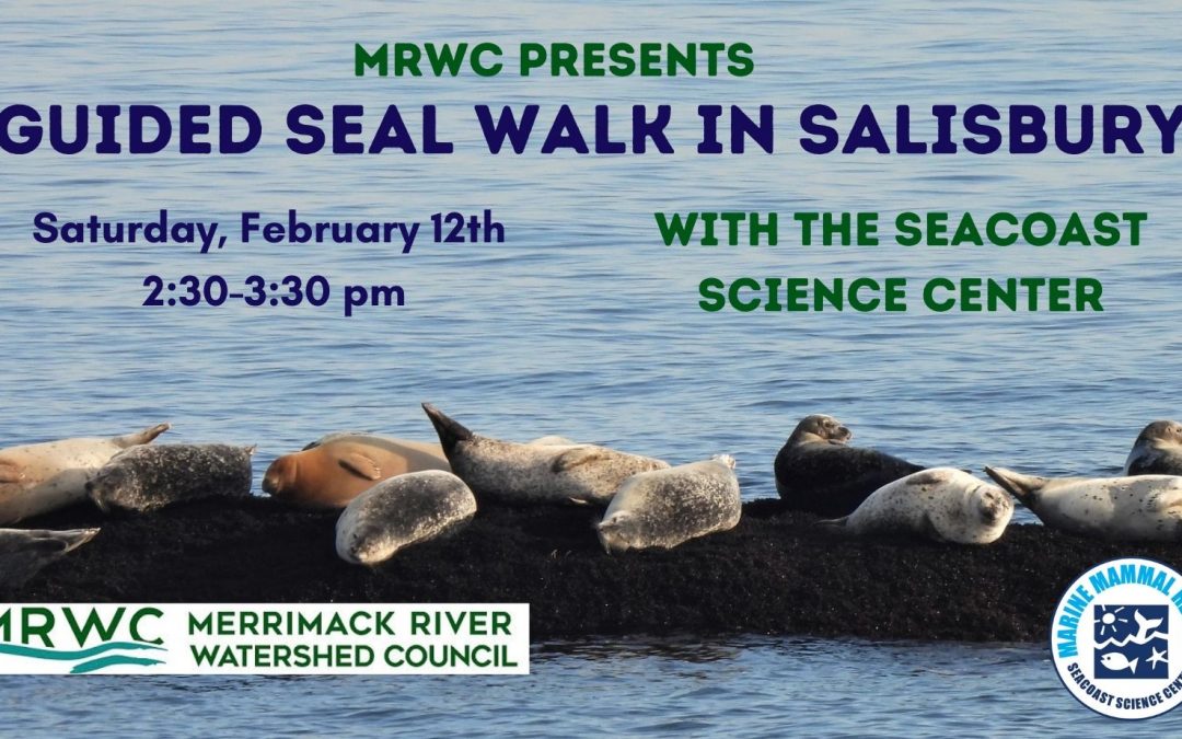 Seal Walk with Seacoast Science Center