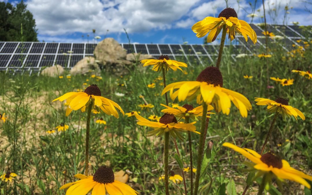 From Coal to Solar: A Plan for New England (Webinar)