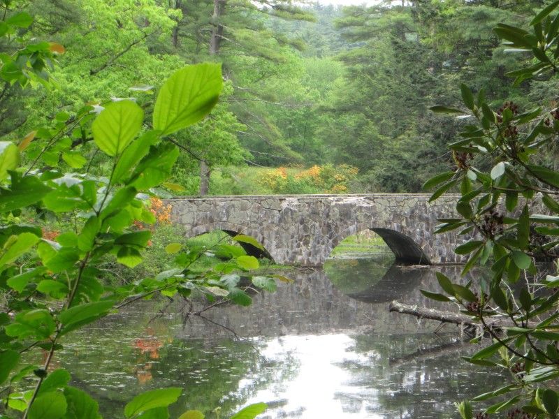 Hiking the Merrimack: Maudslay State Park