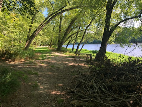 Nature Walk in Sklar Waterfront Park